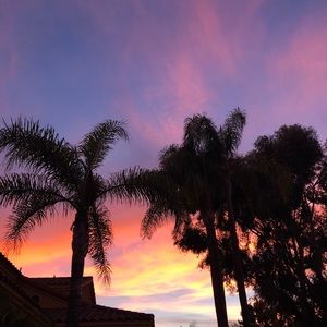 Meet your Posher, Jess